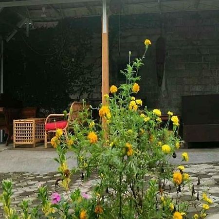 Tiffany Garden Apartment Mangsit Exterior foto
