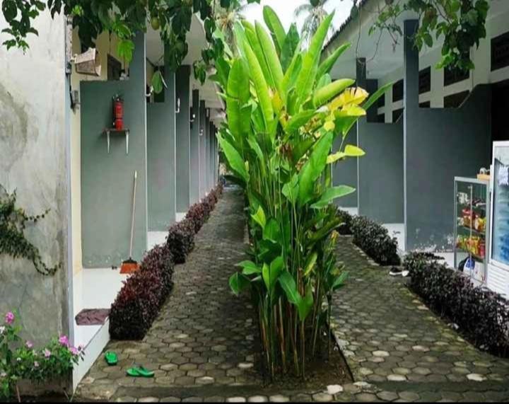 Tiffany Garden Apartment Mangsit Exterior foto