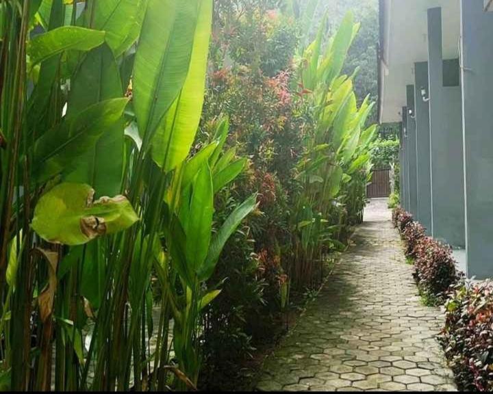 Tiffany Garden Apartment Mangsit Exterior foto